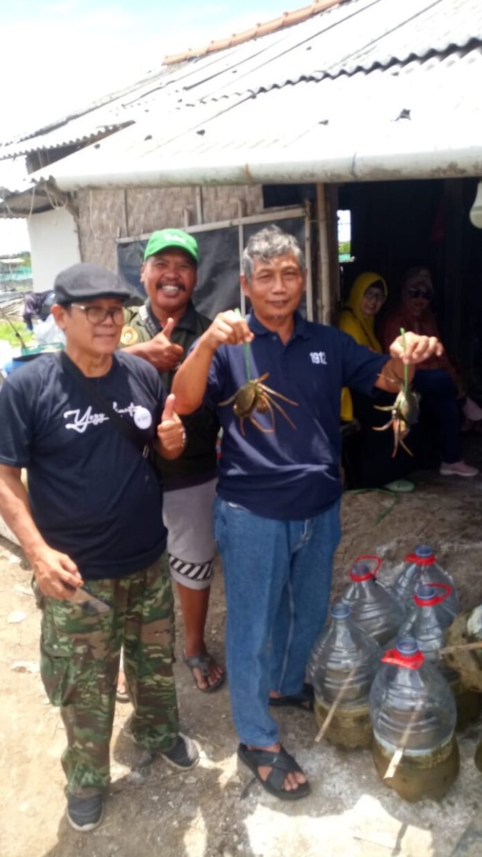 Kepiting Galon Kawunganten